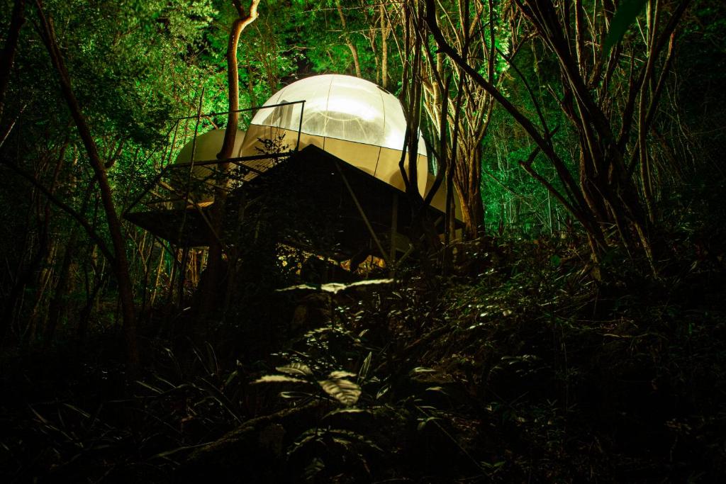 una tienda en medio de un bosque en CHALET & MAISONS BULLES Deluxe en Bouillante