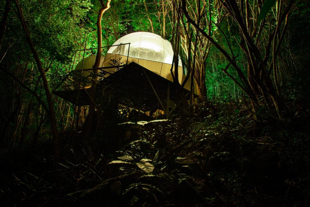 a tent in the middle of a forest at CHALET & MAISONS BULLES Deluxe in Bouillante