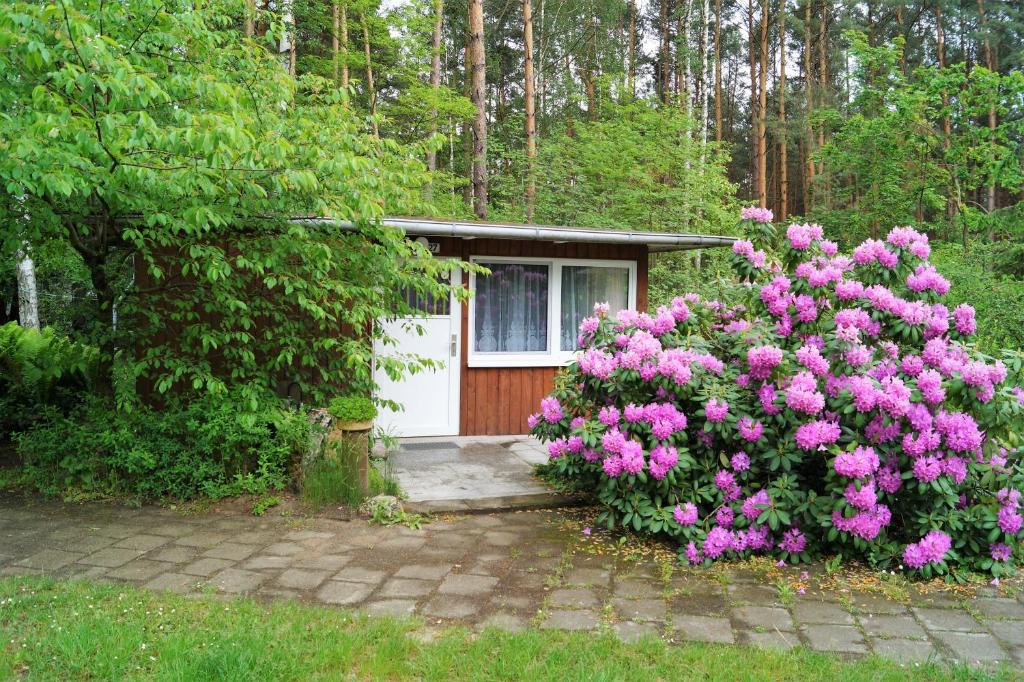 Ferienhaussiedlung am Chossewitzer See - Maison De Vacances
