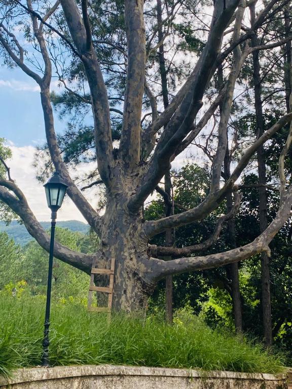  Sitio Recanto da Paineira