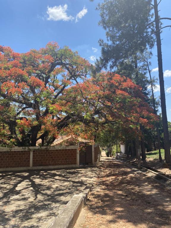  Sitio Recanto da Paineira