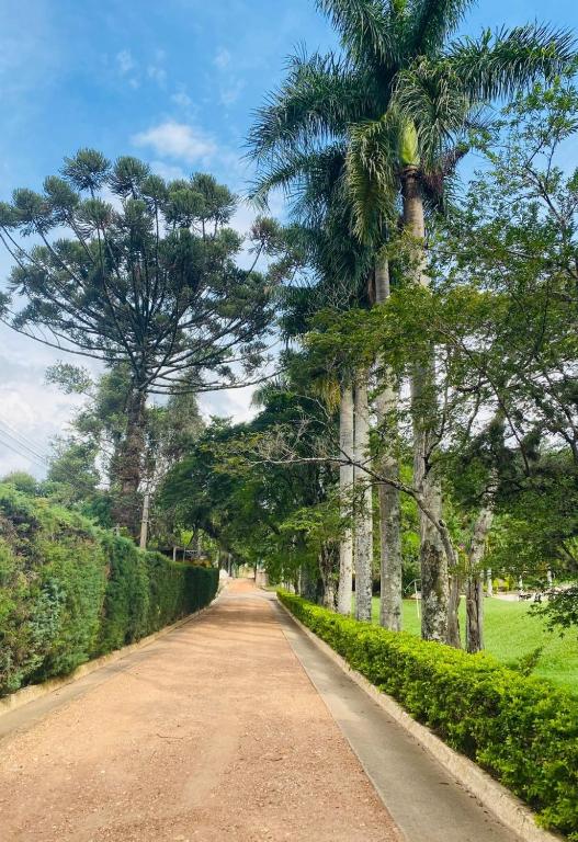  Sitio Recanto da Paineira