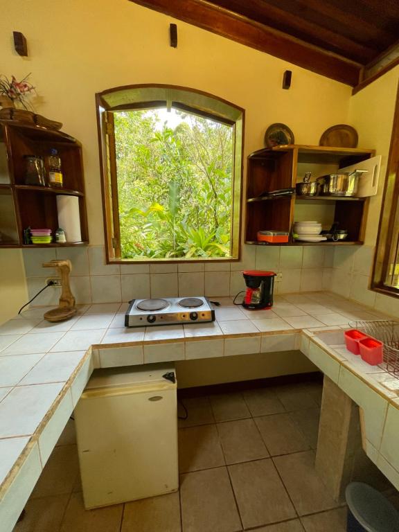 Kuchyň nebo kuchyňský kout v ubytování Finca Isla Rainforest Retreat