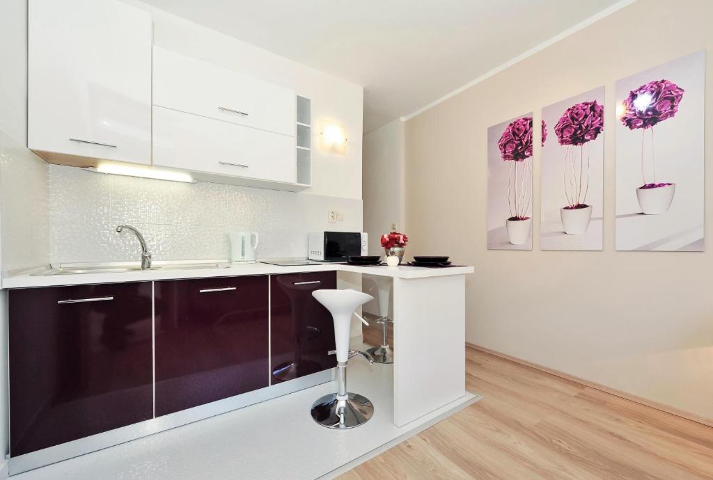 Kuchyňa alebo kuchynka v ubytovaní Top Apartments Zadar