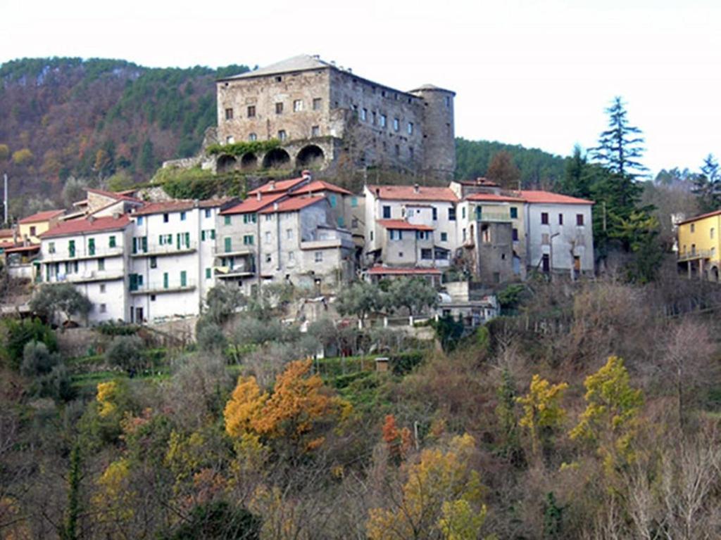 un gruppo di edifici posti in cima a una collina di All'ombra del Castello a Calice al Cornoviglio