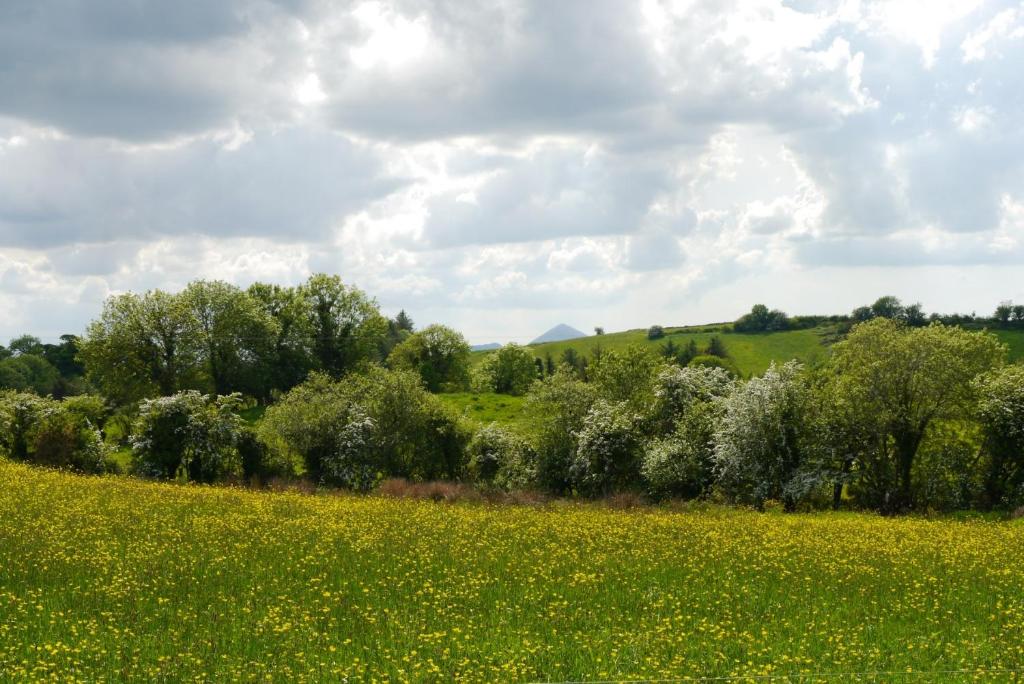 Příroda nedaleko bed and breakfast