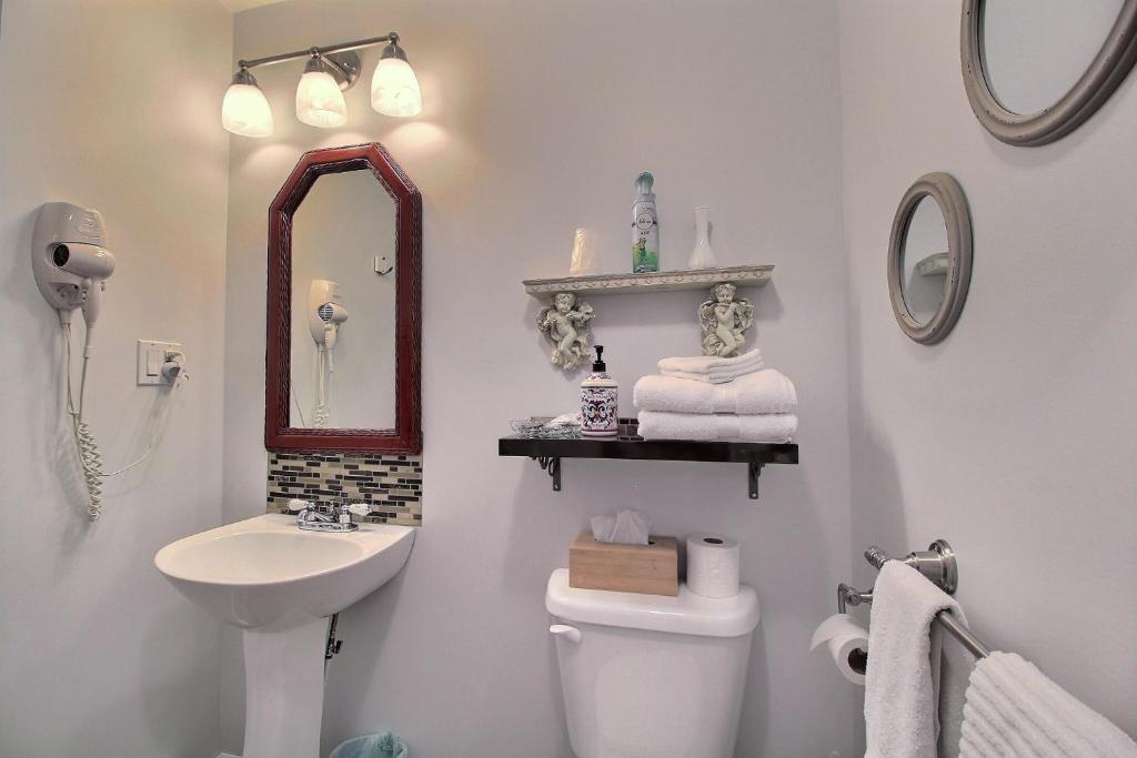 a bathroom with a sink and a toilet and a mirror at Les Gites Makadan in Normandin