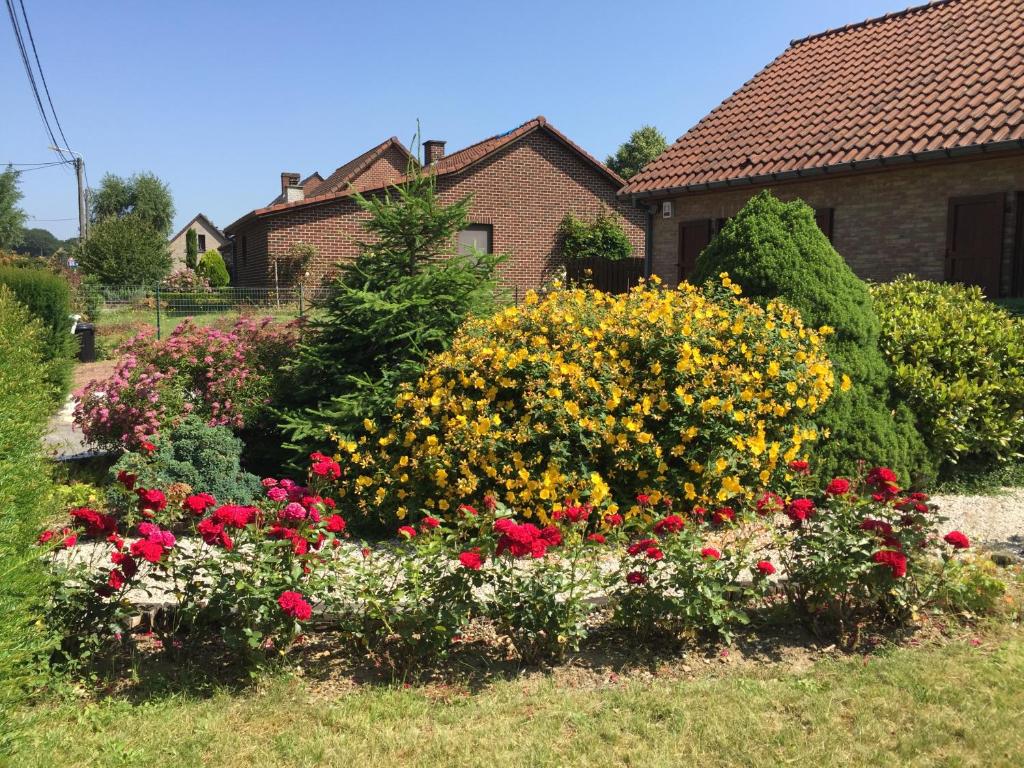 a garden of flowers in front of a house at Le Valdine in Jemeppe