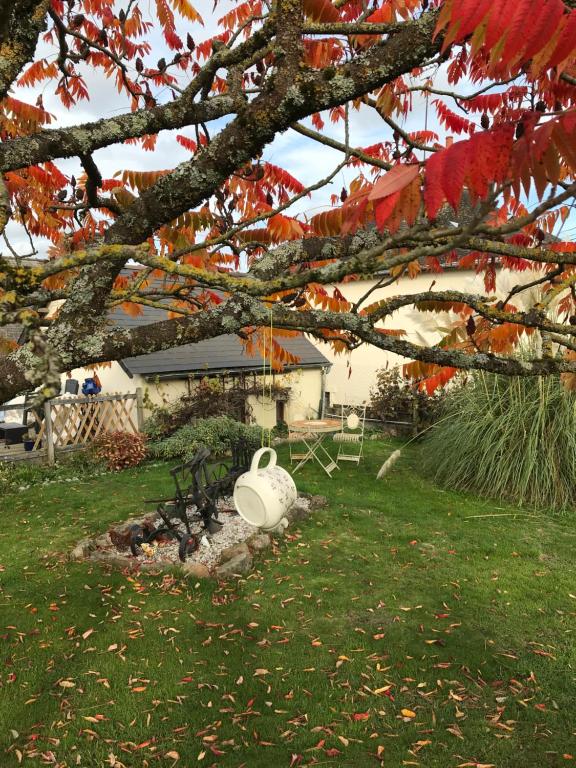 Cottage Les Glycines - Error