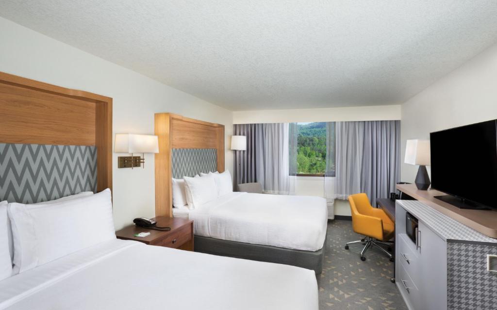 Holiday Inn Asheville East-Blue Ridge Pkwy by IHG - Chambre Standarde