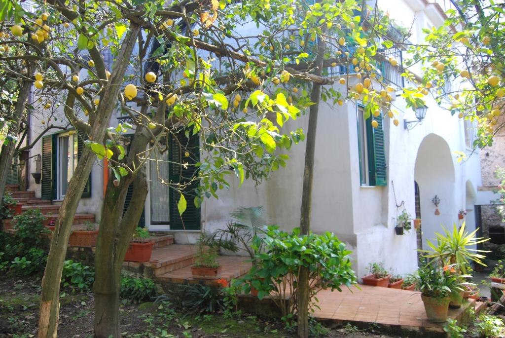 Sorrento Studios Lemons Hill - 4