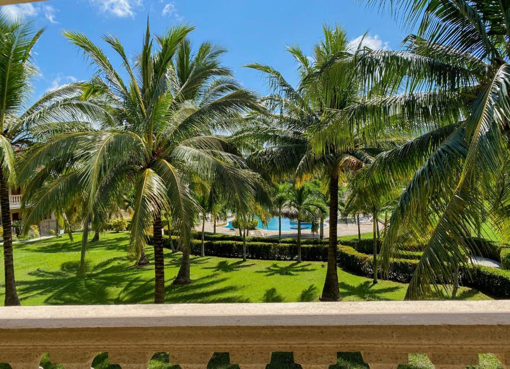 a row of palm trees in a park at La Ensenada Beach Resort in Tela