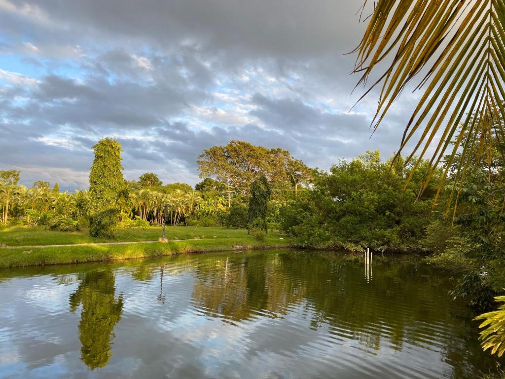 a body of water with trees and a palm tree at La Ensenada Beach Resort in Tela