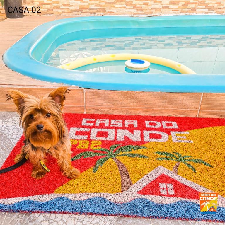  Casa do Conde PB 02