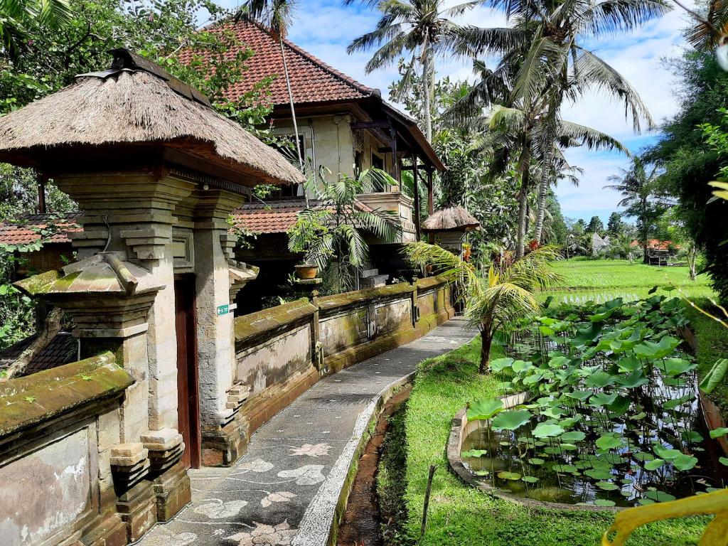Zahrada ubytování Alam Jiwa Ubud