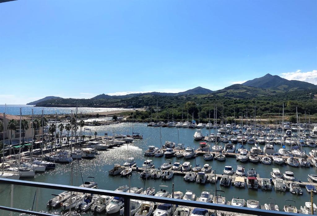 un port de plaisance rempli de nombreux bateaux dans l'eau dans l'établissement Appartement résidence Acapulco vue panoramique port Argeles sur mer, à Argelès-sur-Mer