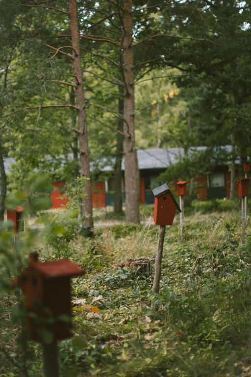 Zahrada ubytování Vallåsens Värdshus STF Hostel