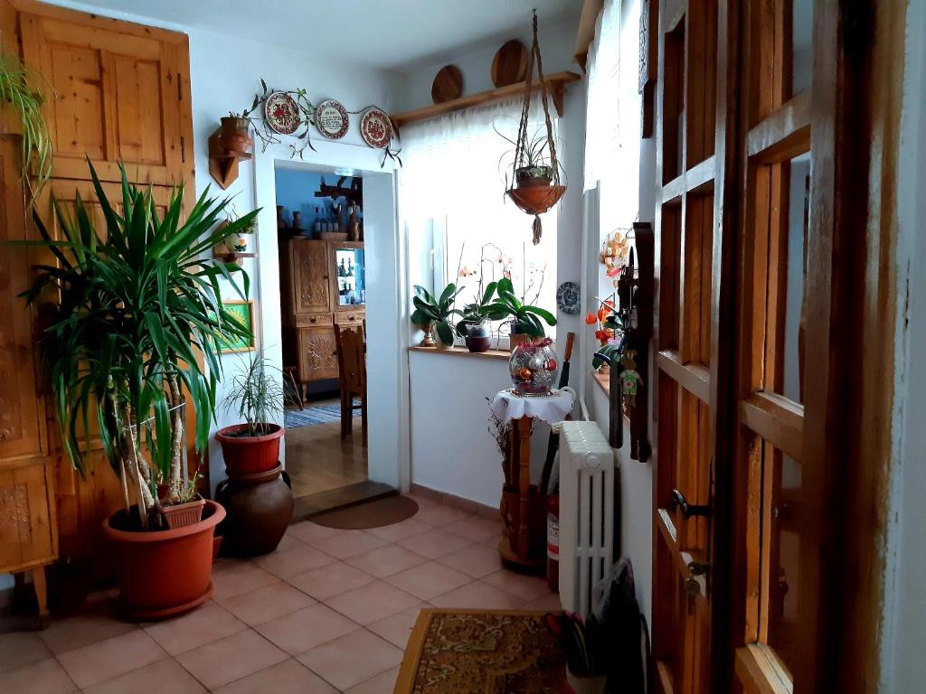 Fotografie z fotogalerie ubytování PENSIUNEA BORDÁS PANZIÓ v destinaci Sfântu-Gheorghe