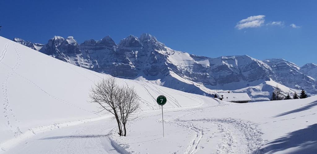 Appartement à la montagne v zimě