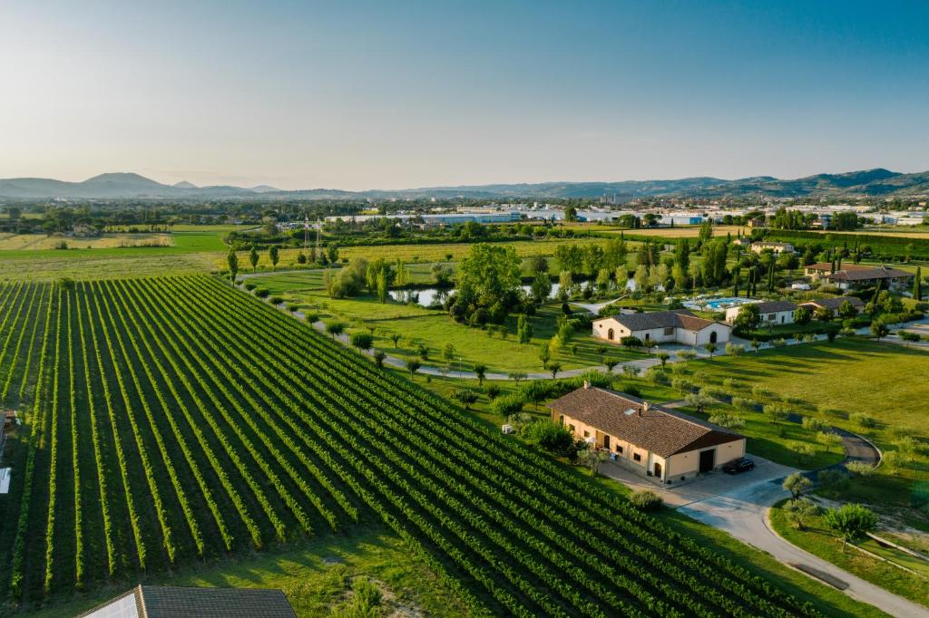 - une vue aérienne sur un vignoble avec une maison et une ferme dans l'établissement Valle di Assisi Country Apartments, à Assise