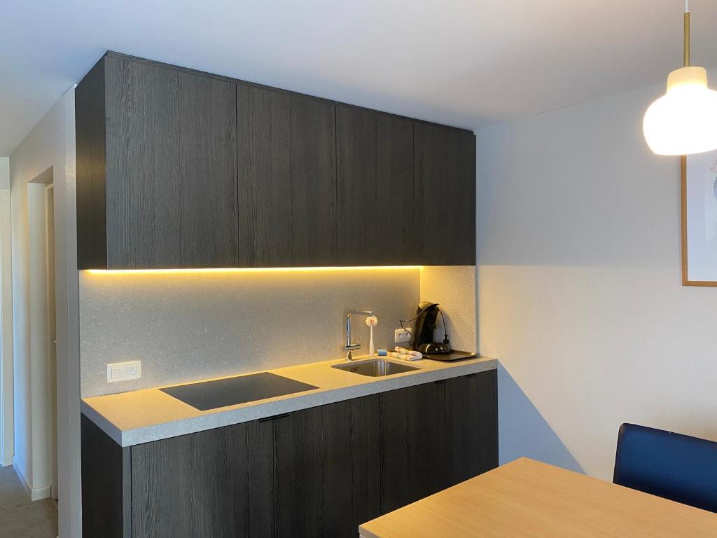 Kuchyň nebo kuchyňský kout v ubytování Studio-Hotel Apostroff
