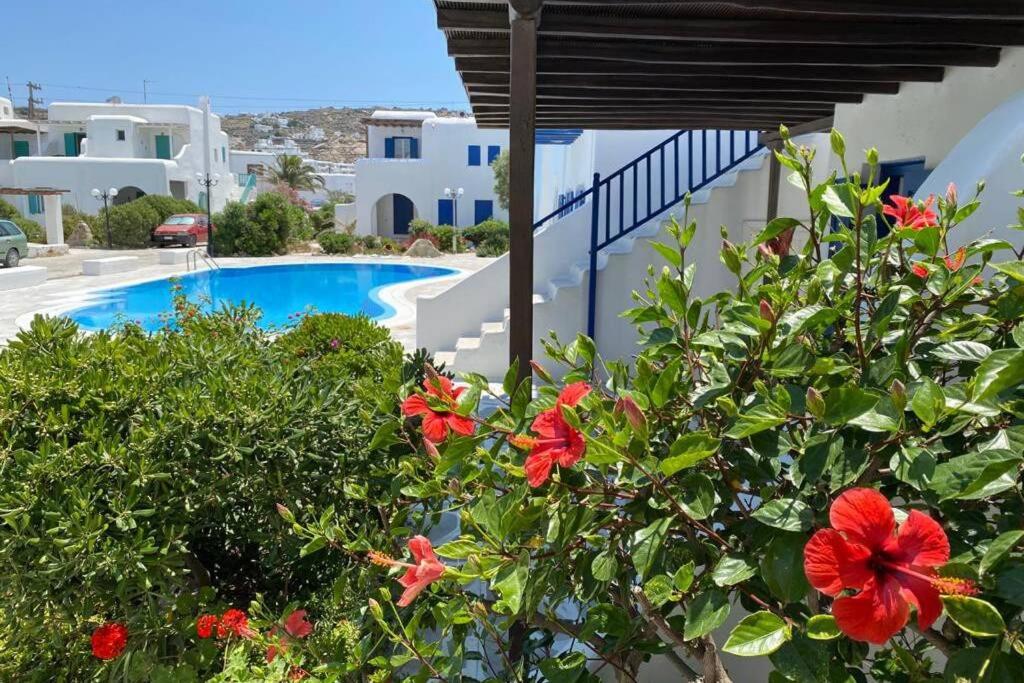 a view of a swimming pool from a house with red flowers at Pigeon House Ornos Beach in Mikonos