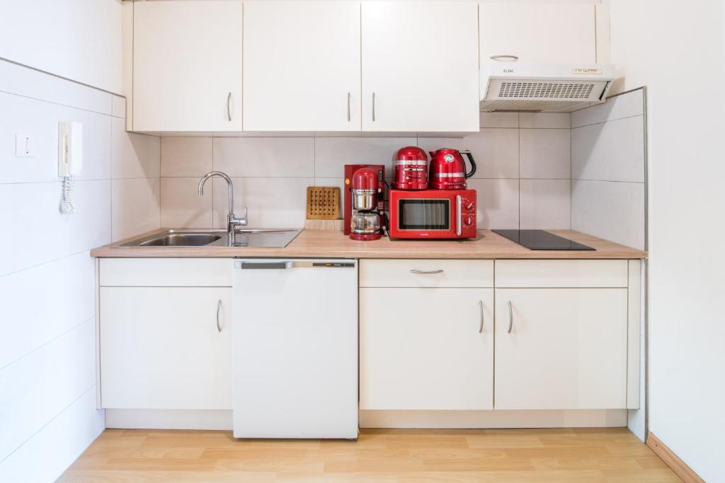 Kuchyň nebo kuchyňský kout v ubytování Apartments Heidenberger Fienili