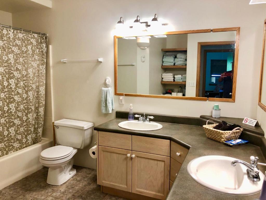 ein Badezimmer mit Toilette, Waschbecken und Spiegel in der Unterkunft Ala Kai Bed and Breakfast in Keaau