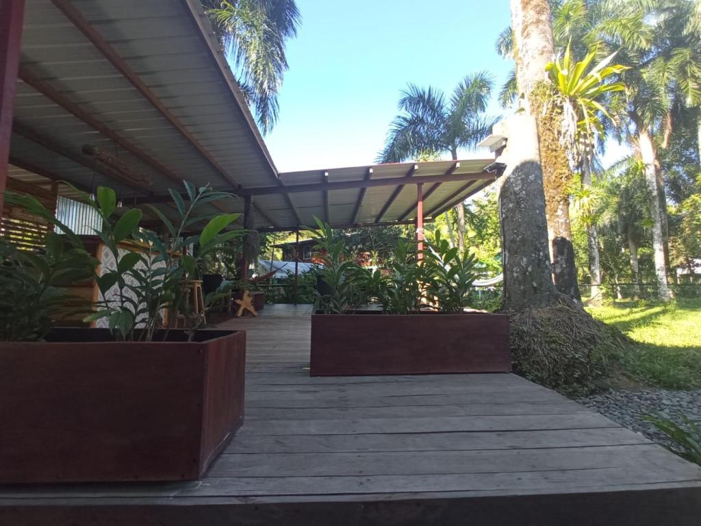 a patio with an umbrella and some plants at La Luciernaga Big Creek in Bocas del Toro