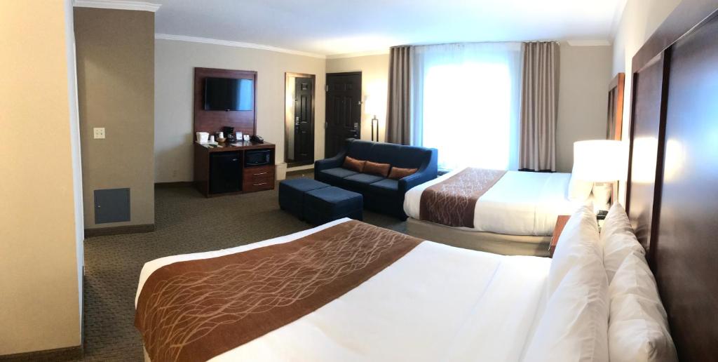 Comfort Inn Santa Monica - West Los Angeles - 家庭房，2张大床和沙发床，不吸烟
