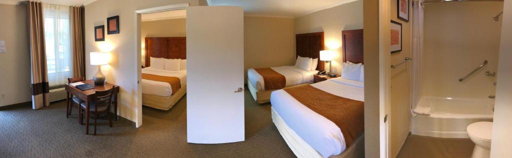 Comfort Inn Santa Monica - West Los Angeles - 家庭房，1张国王床和2张大床，不吸烟