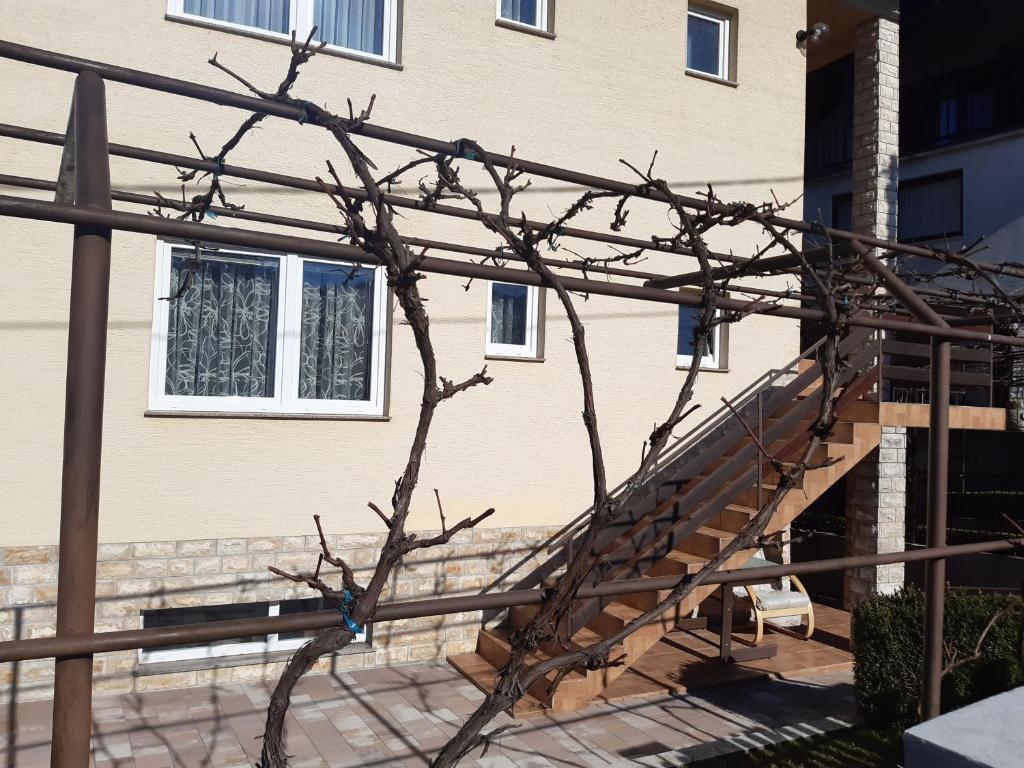 Fotografie z fotogalerie ubytování Apartman Helena v destinaci Slunj