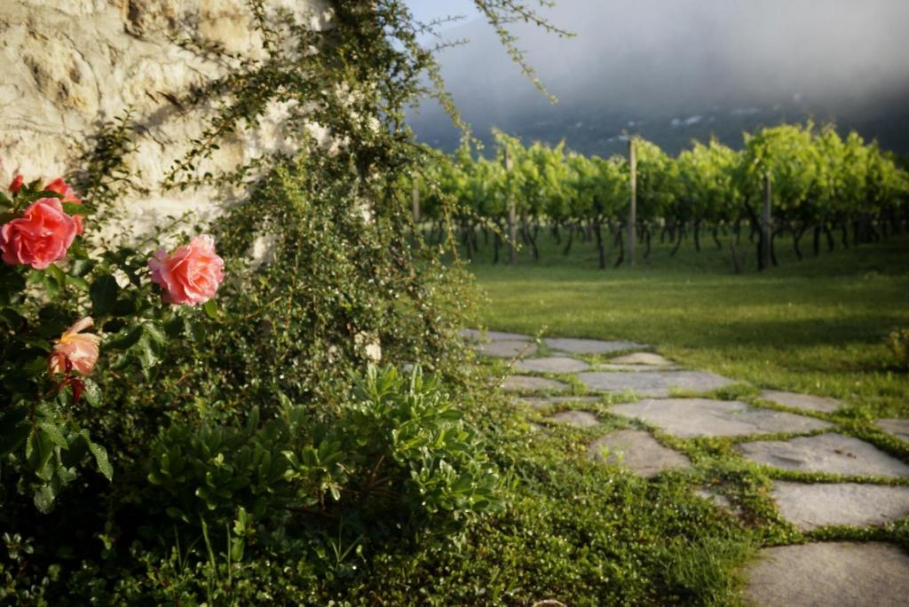 Vrt u objektu Vineyard Eco Cottage near Dubrovnik