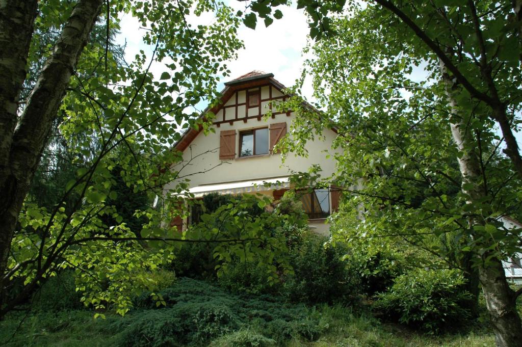 a house in the middle of some trees at Chambre et table d'hôtes du Chant des Sources in Engenthal