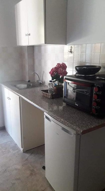 A kitchen or kitchenette at Andreas Apartments