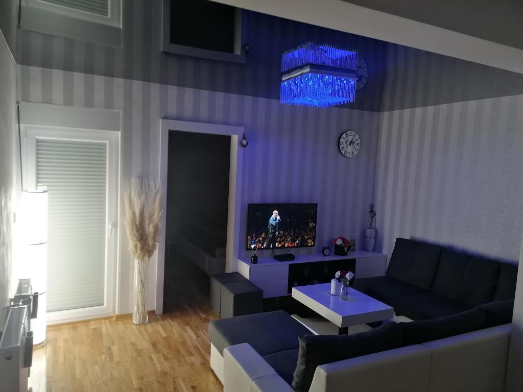 TV a/nebo společenská místnost v ubytování Nenadovic Apartman