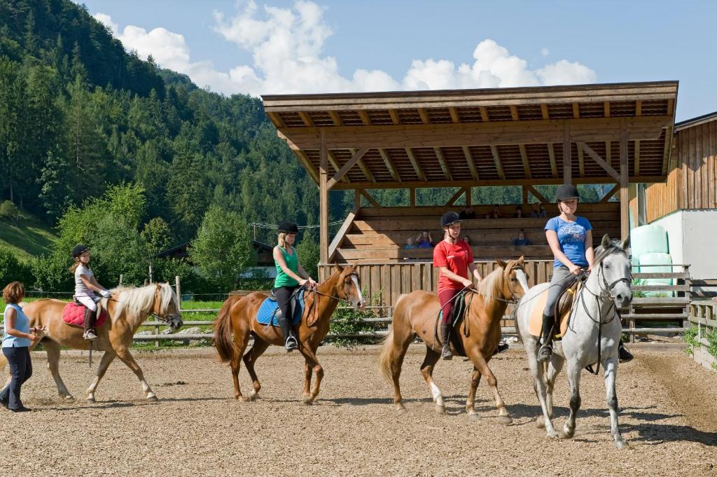 Zvířata v penzionu – hostince nebo okolí