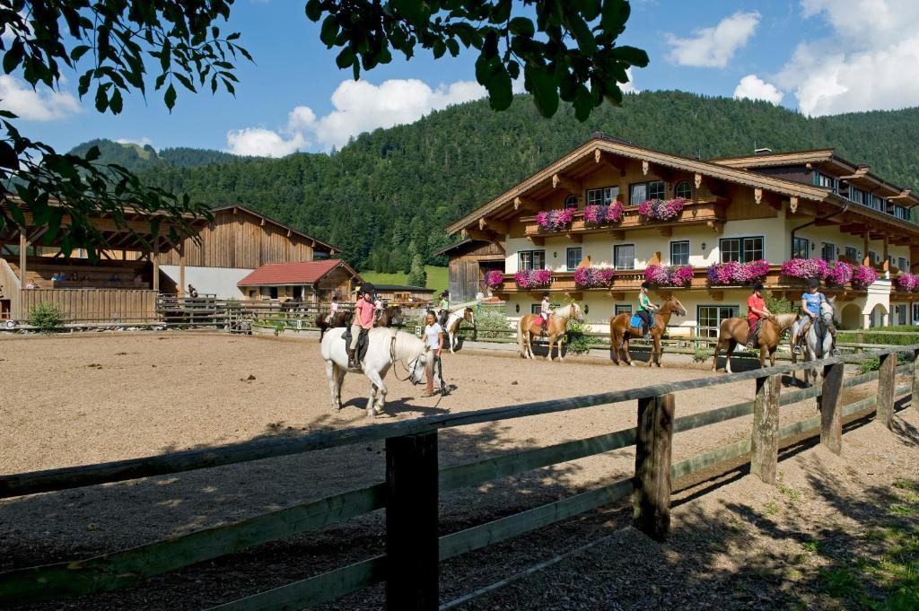 Příroda nedaleko penzionu – hostince