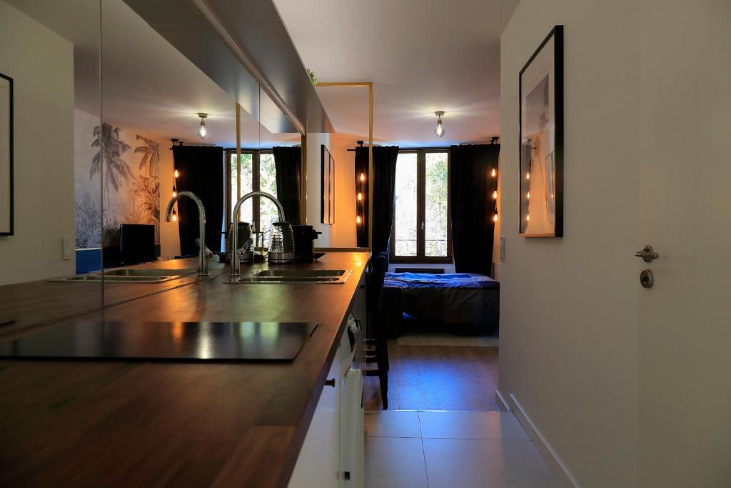 uma cozinha com um lavatório e uma bancada em Studio l'évasion, parfait pour vous détendre em Divonne-les-Bains