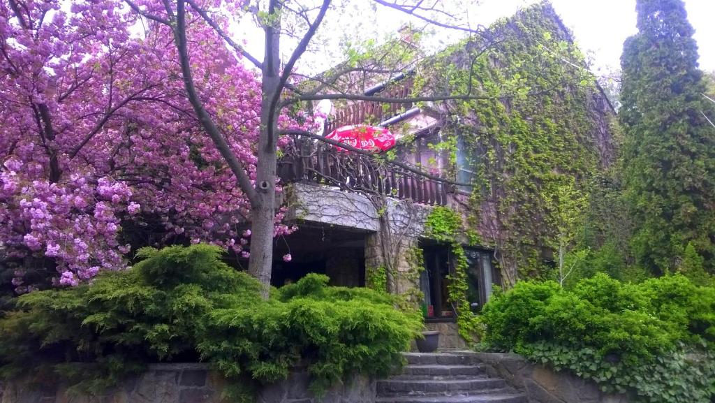 聖安德烈的住宿－科拉潘茲酒店，一座紫色花的老房子