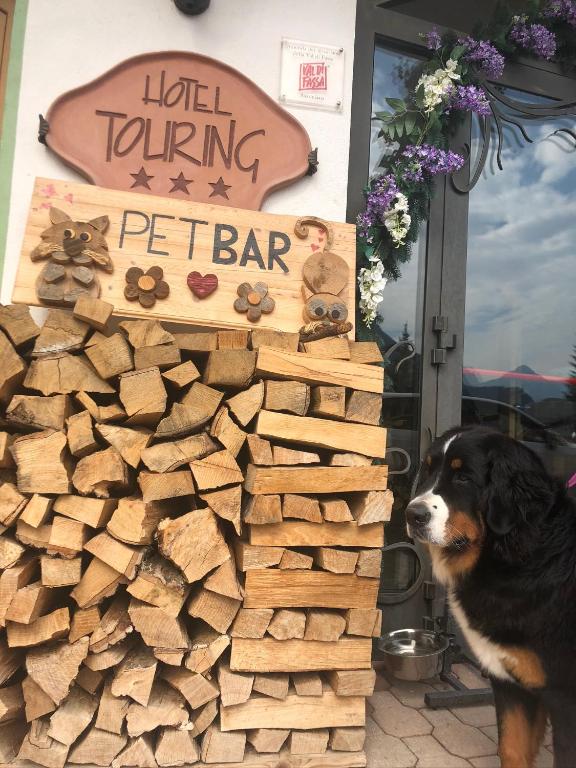 Domácí mazlíčci ubytovaní s hosty v ubytování Alpine Touring Hotel-petfriendly