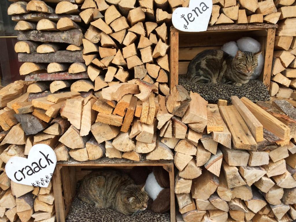 Fotografie z fotogalerie ubytování Alpine Touring Hotel-petfriendly v destinaci Pozza di Fassa