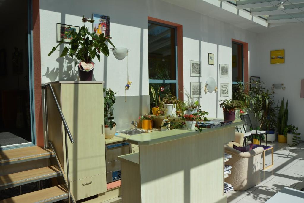 Hotel Hessengüetli - Resim 26