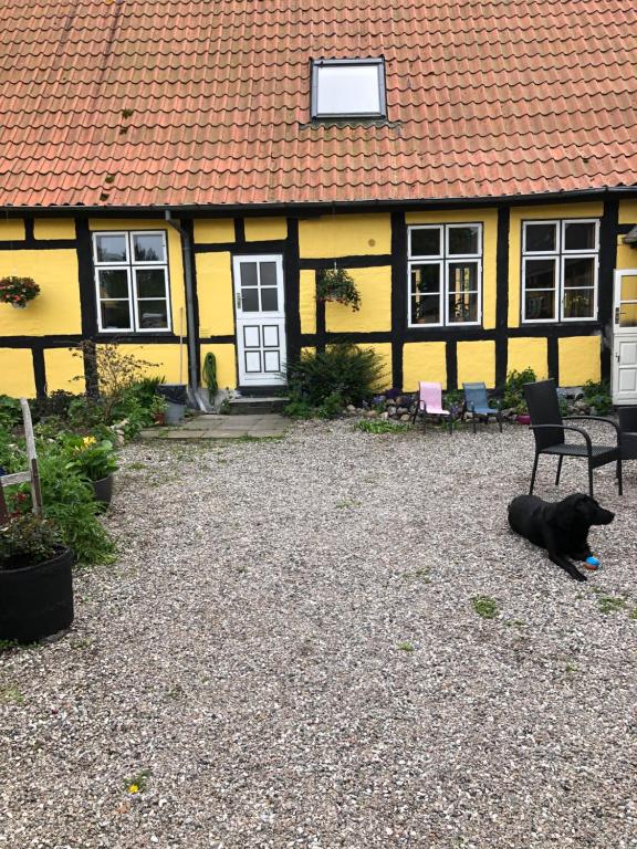 a black dog laying in front of a yellow house at Stubbekøbingrooms in Stubbekøbing