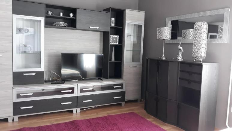 una sala de estar con un gran centro de entretenimiento negro en ANKER SILVER DREAM, en Kaposvár