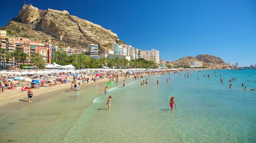 Booking.com: Classic Center Apartment , Alicante, España - 5 ...