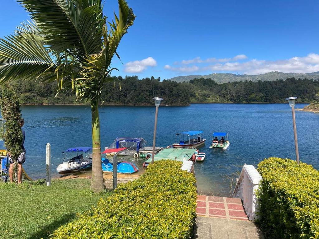 a group of boats are docked on a lake at Finca Isla El Paraiso in Guatapé