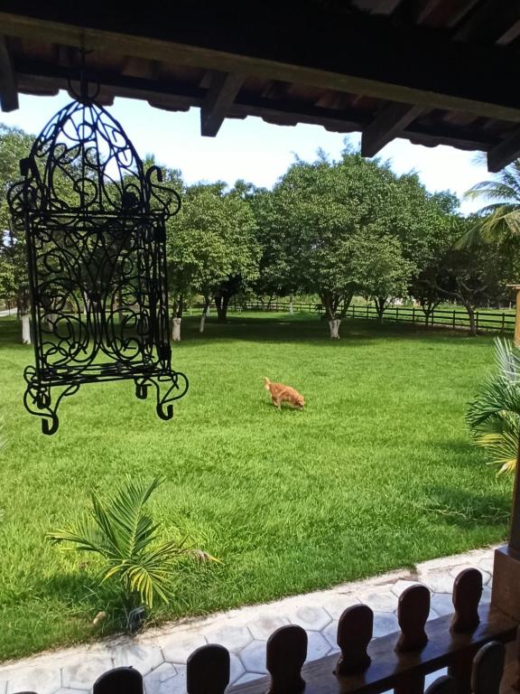  HOTEL FAZENDA ARIZONA
