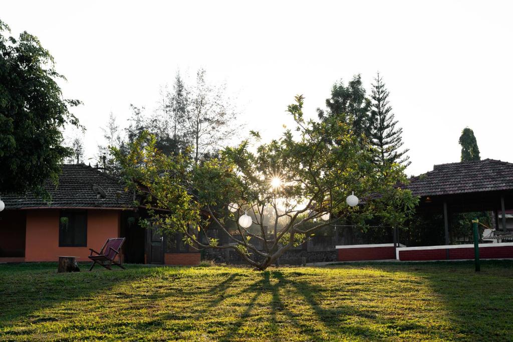 Zahrada ubytování Zostel Homes Wayanad, Thirunelly