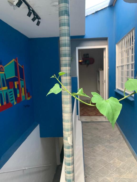  Kaleidoscópio Hostel